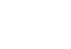 Ziemer Logo - White