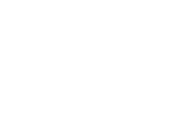 Wavelight Logo - White