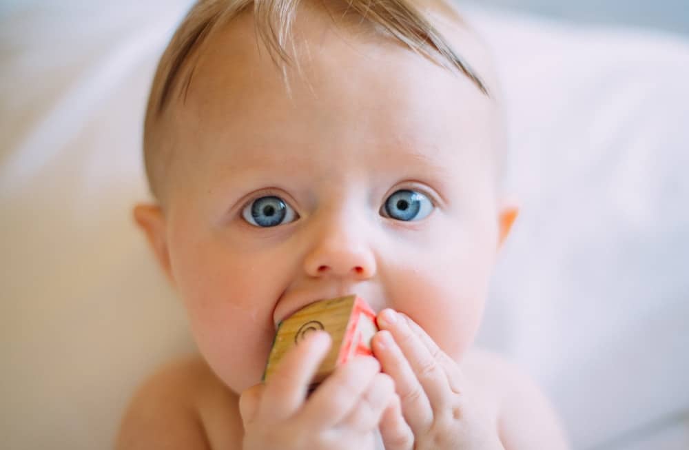 Baby-Blue-eyes Baby Blue eyes