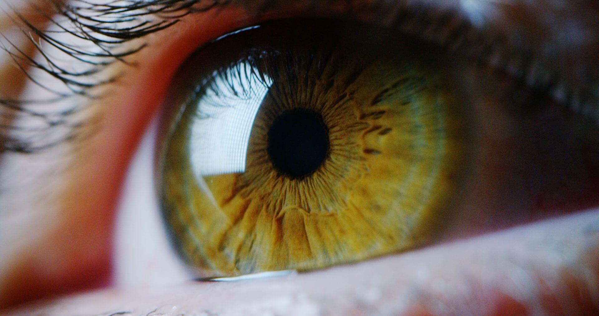 Close up of an eye