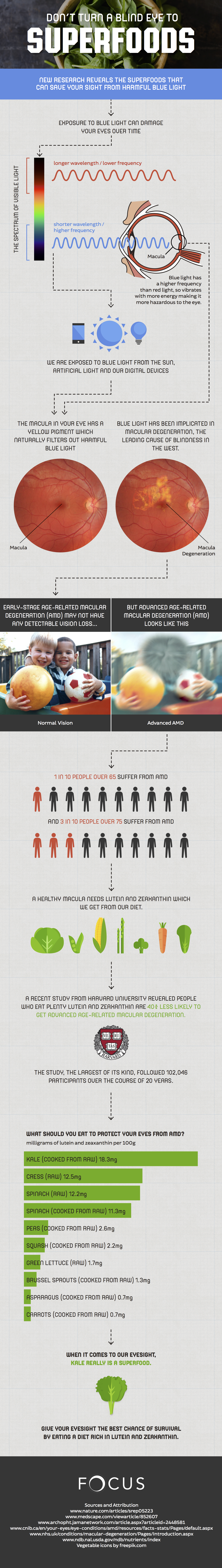 focus-superfood-infographic Focus Superfood Infographic